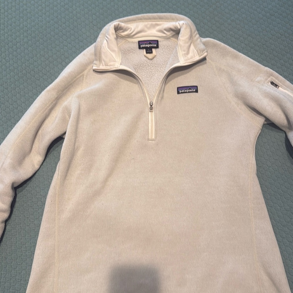 Patagonia zip up.
